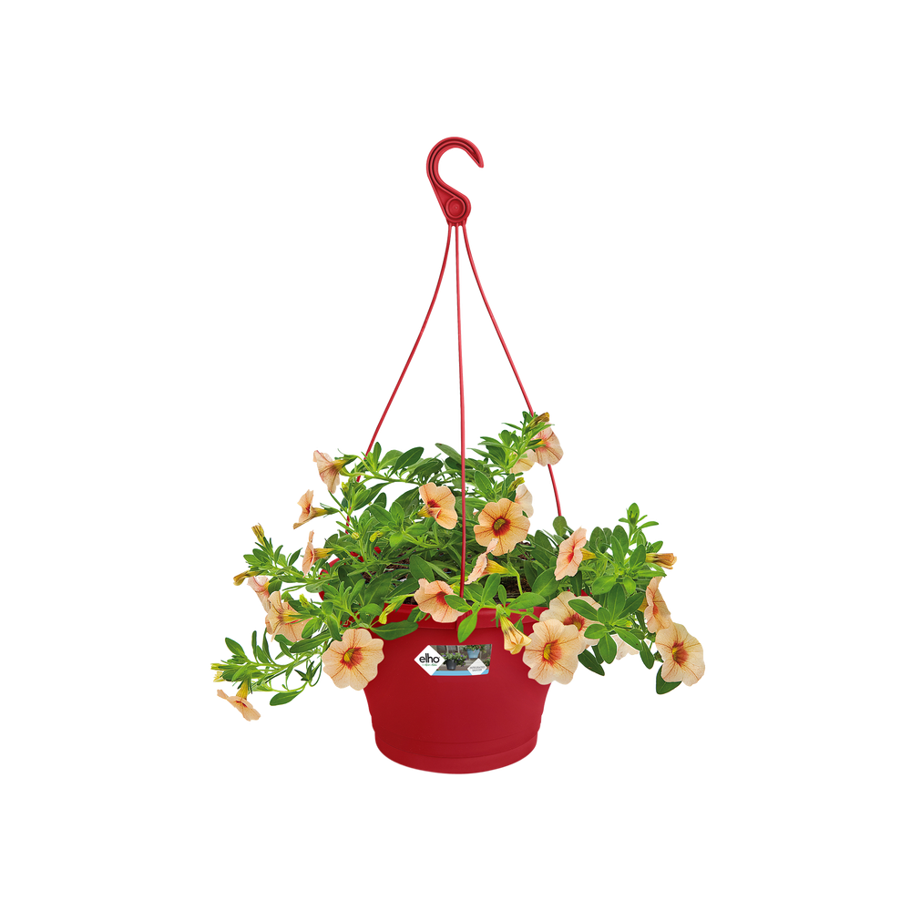 Corsica Suspension 30