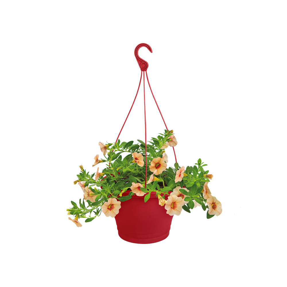 Corsica Suspension 30