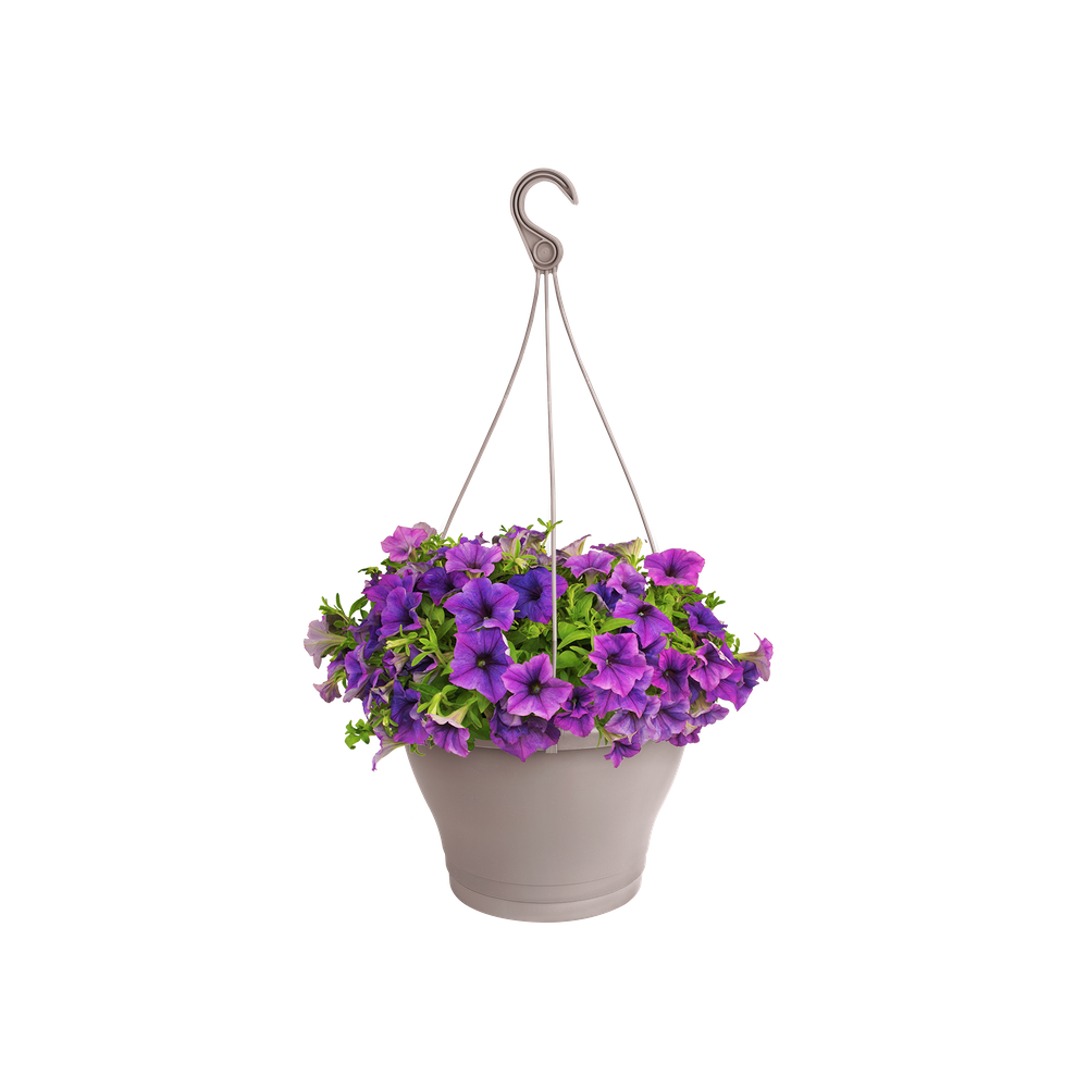 Corsica Suspension 30