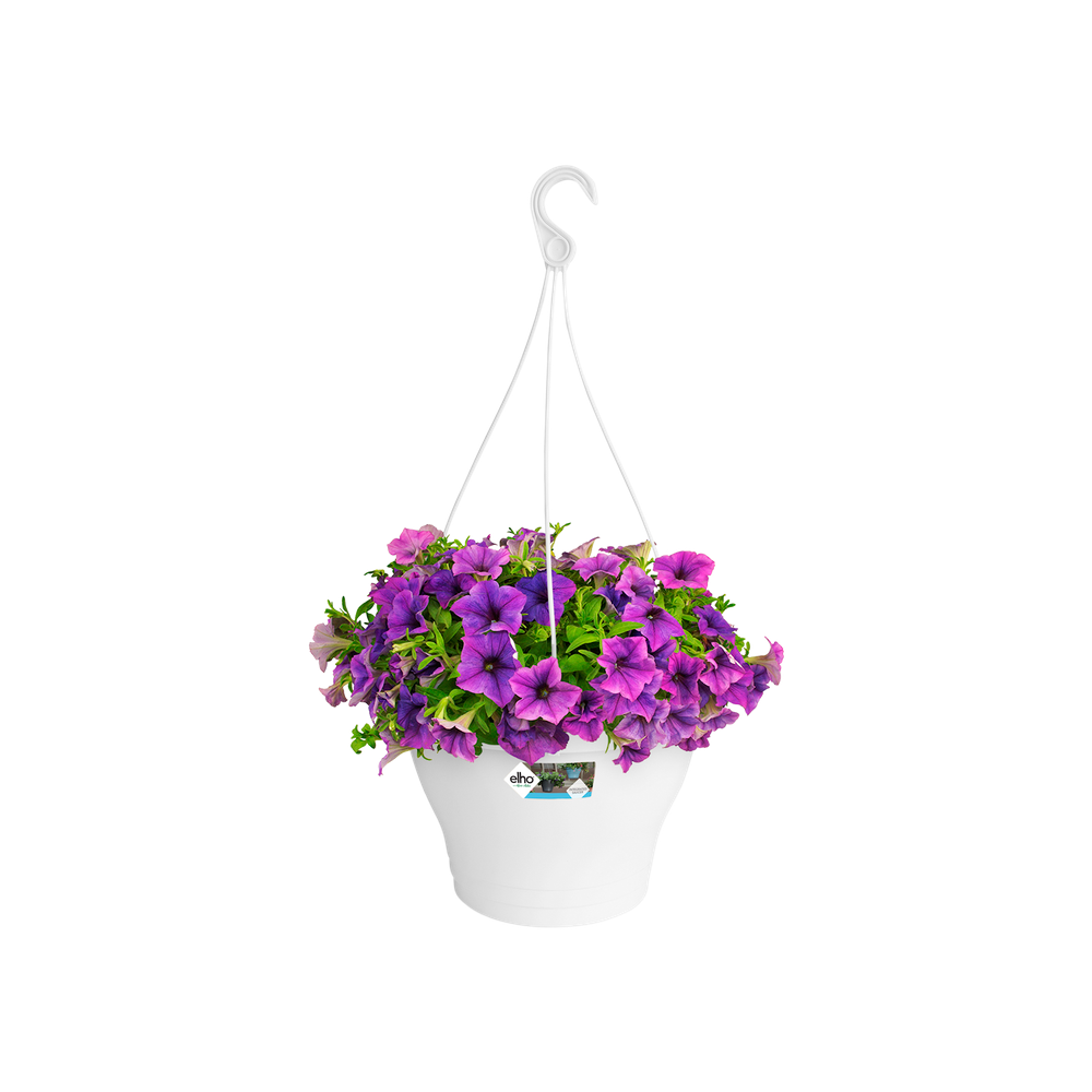 Corsica Suspension 30