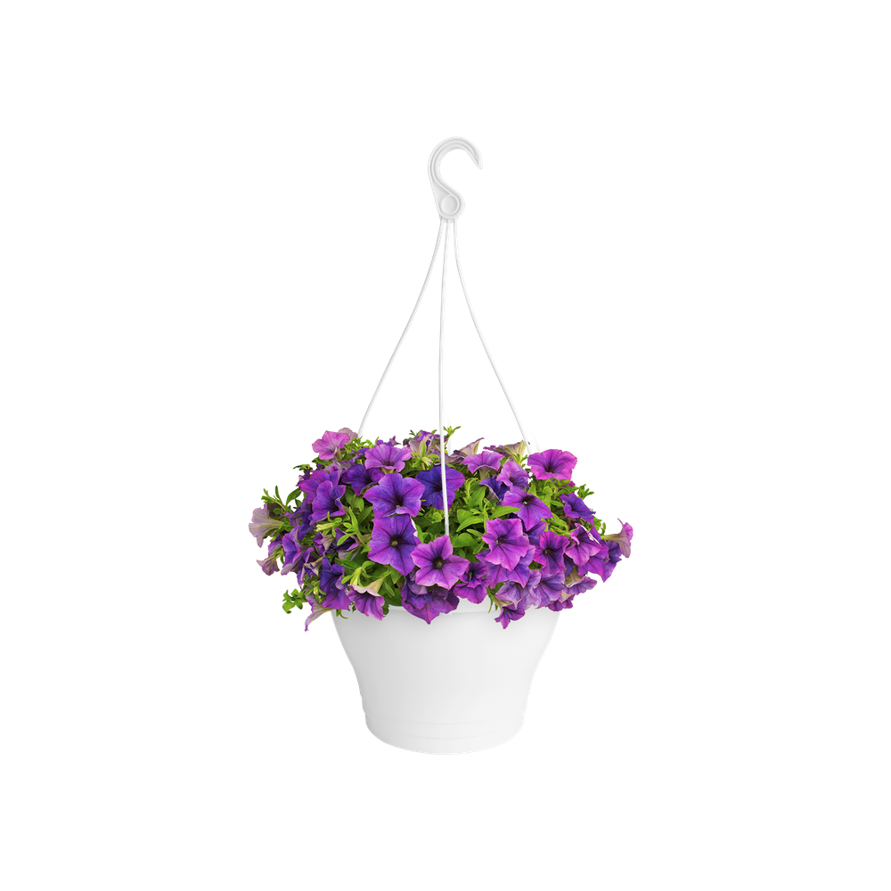 Corsica Suspension 30