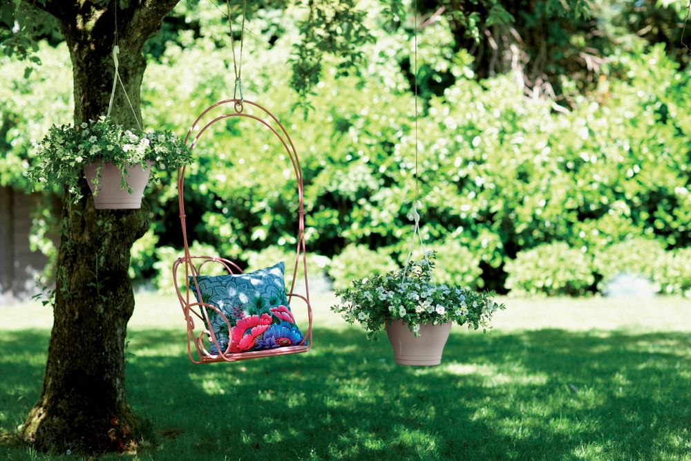 Corsica Suspension 30