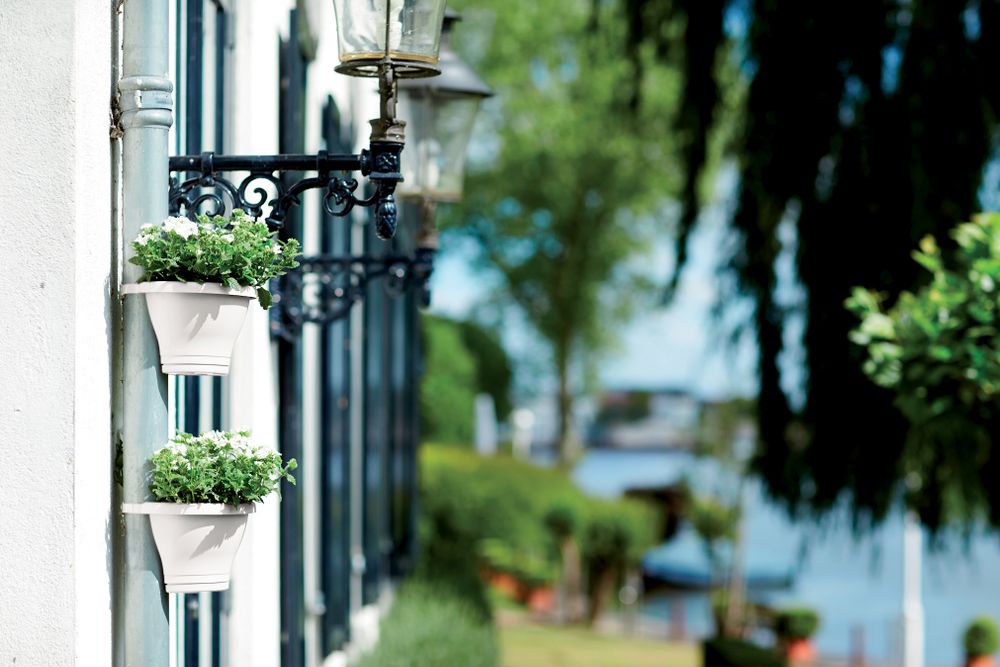 Corsica Pot Gouttière 24