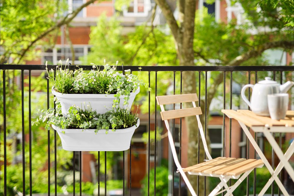 Corsica Vert Forest Large Set 2