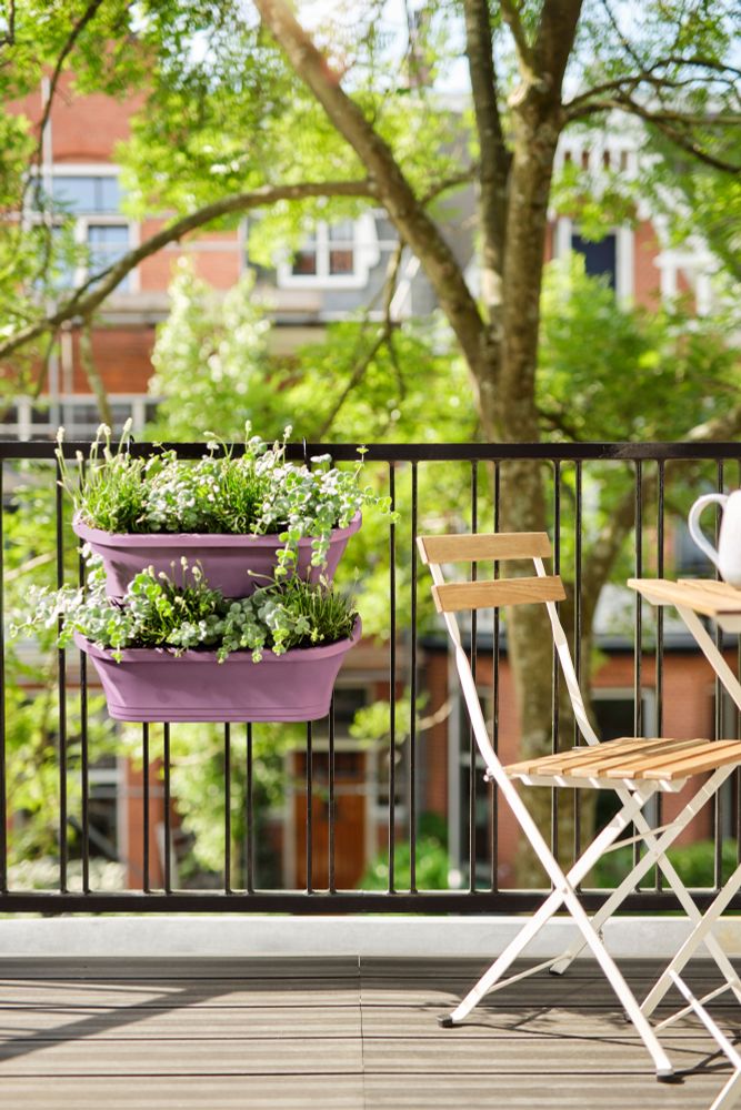 Corsica Vert Forest Large Set 2