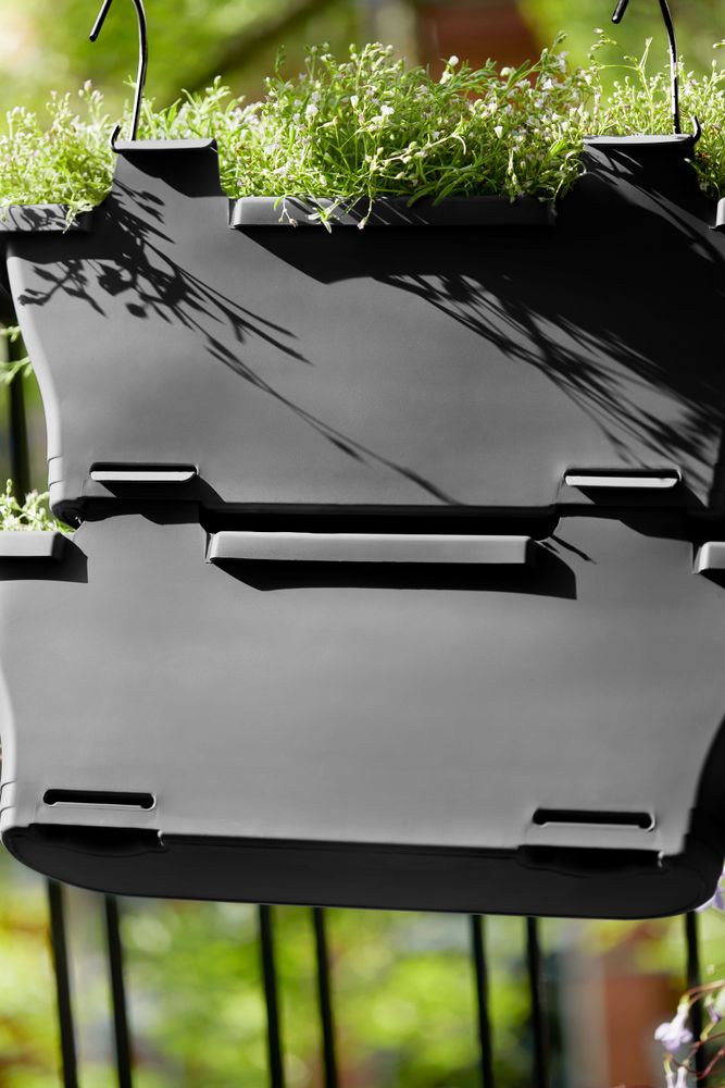 Corsica Vert Forest Large Set 2