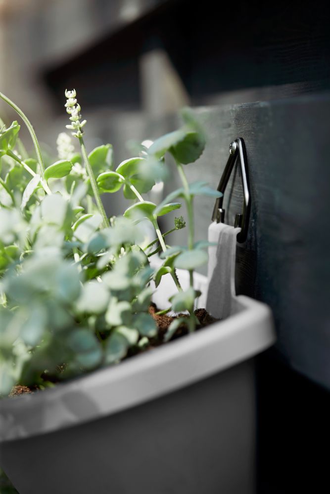 Corsica Vert Forest Large Set 2