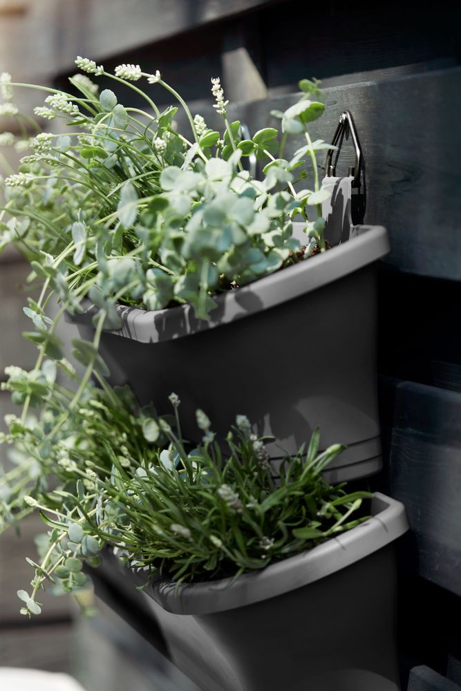 Corsica Vert Forest Large Set 2