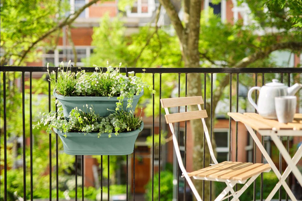 Corsica Vert Forest Large Set 2