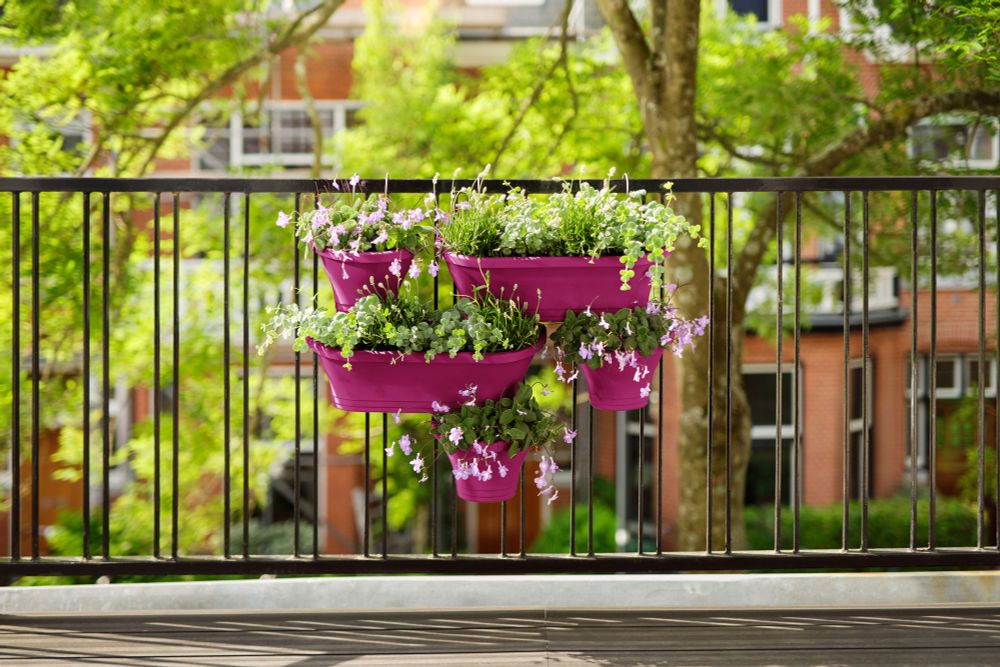 Corsica Vert Forest Large Set 2