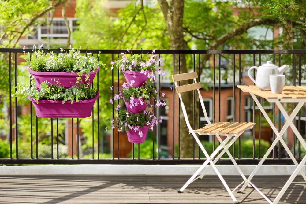 Corsica Vert Forest Large Set 2