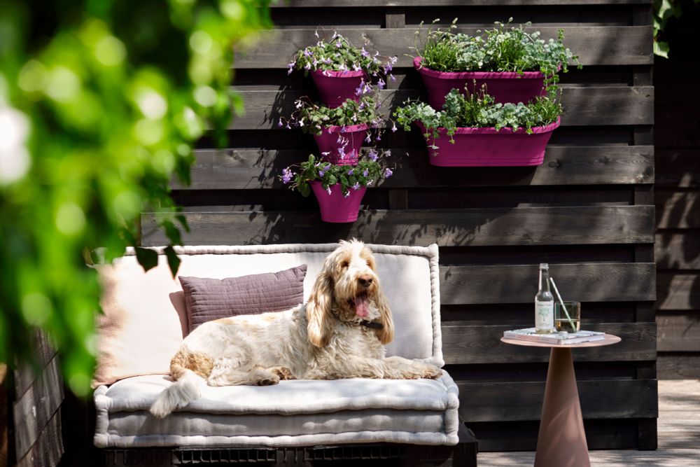 Corsica Vert Forest Large Set 2