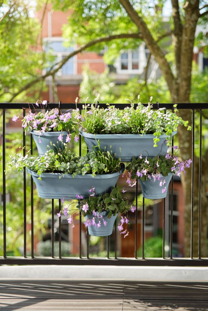 Corsica Vert Forest Large Set 2