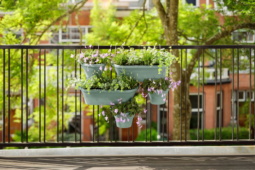 Corsica Vert Forest Large Set 2