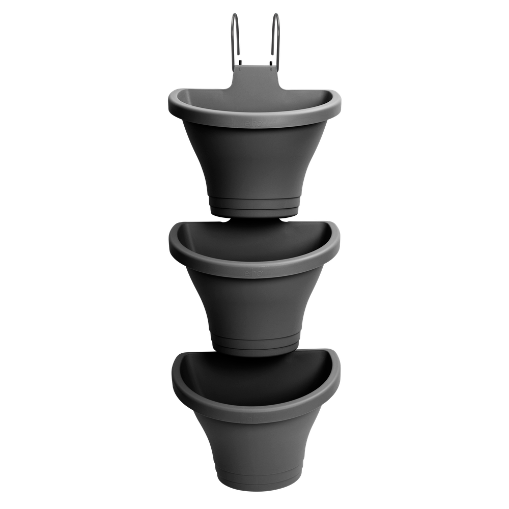 Corsica Forêt Vertical 24 Set/3