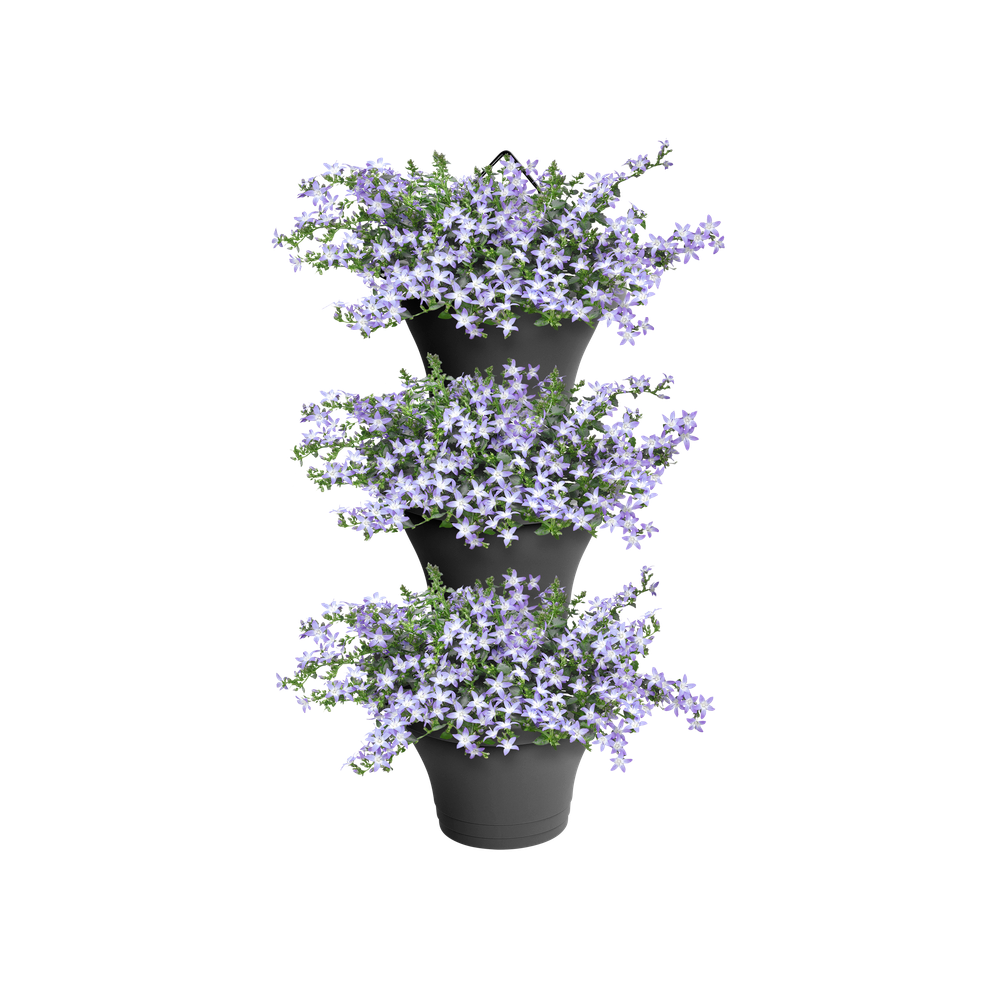 Corsica Forêt Vertical 24 Set/3