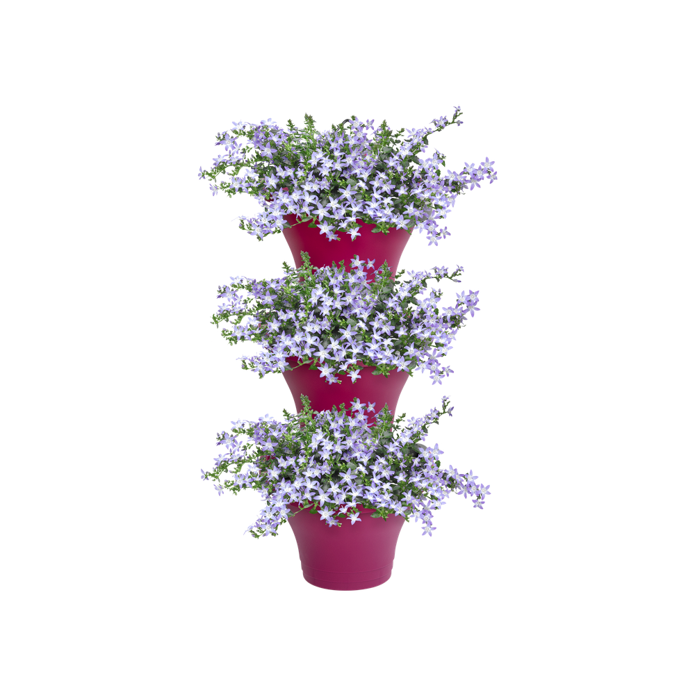 Corsica Forêt Vertical 24 Set/3