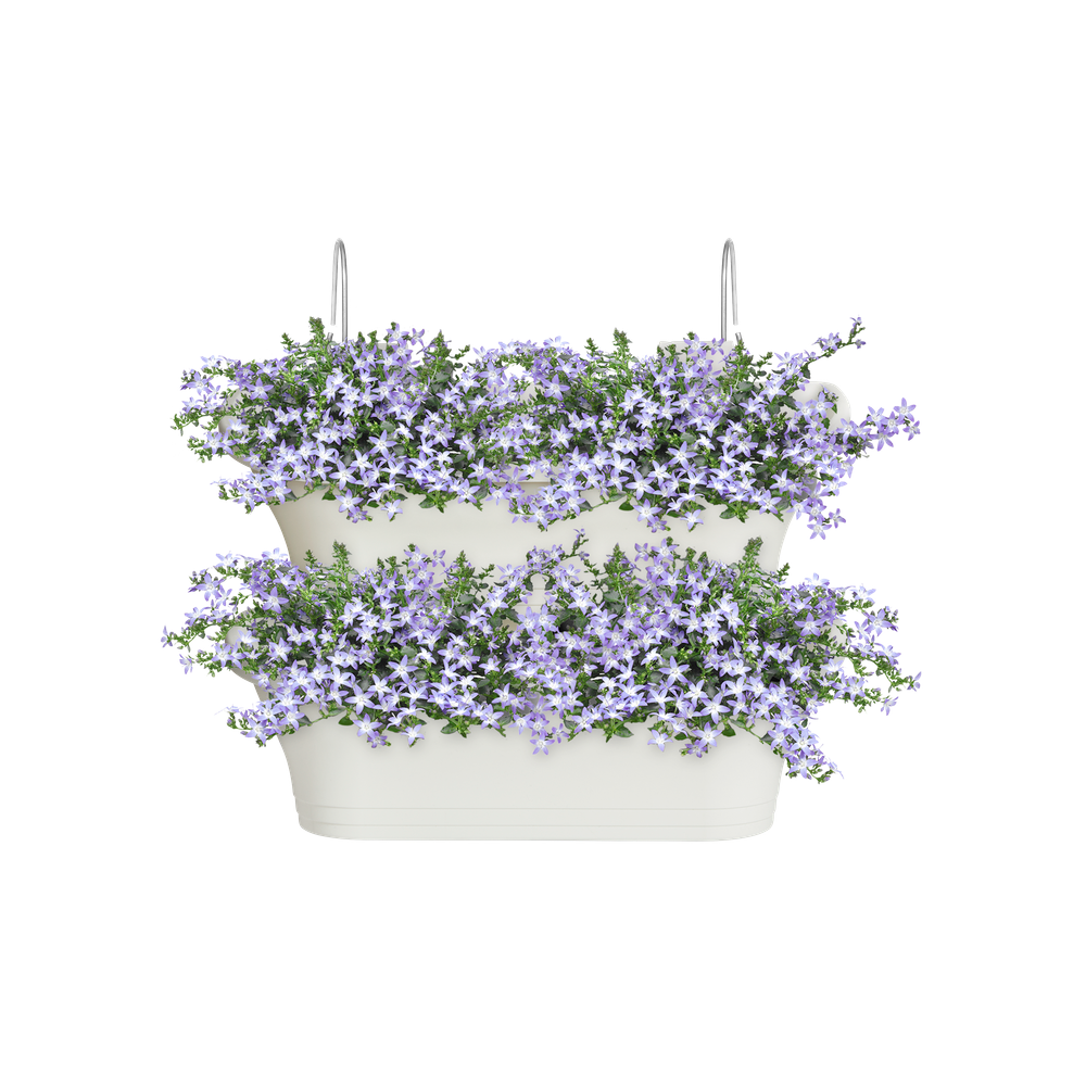 Corsica Vert Forest Large Set 2