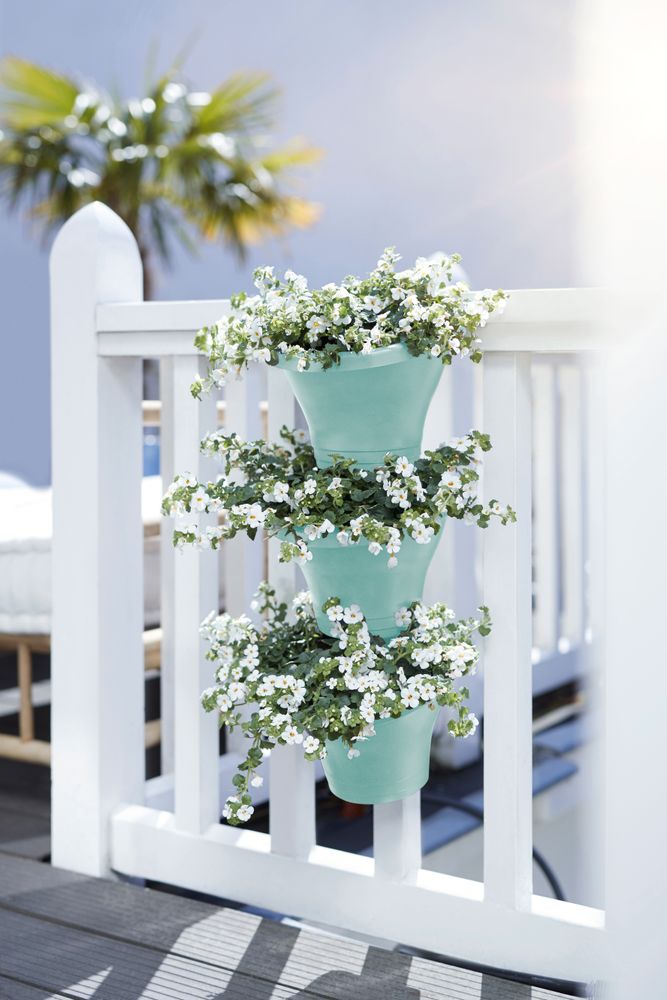 Corsica Forêt Vertical 24 Set/3