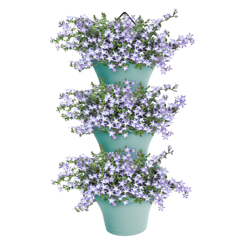 Corsica Forêt Vertical 24 Set/3