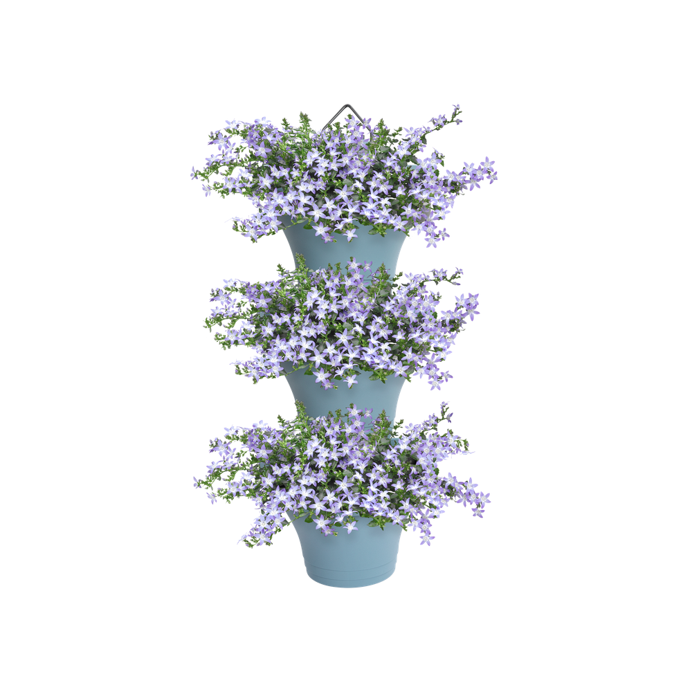 Corsica Forêt Vertical 24 Set/3