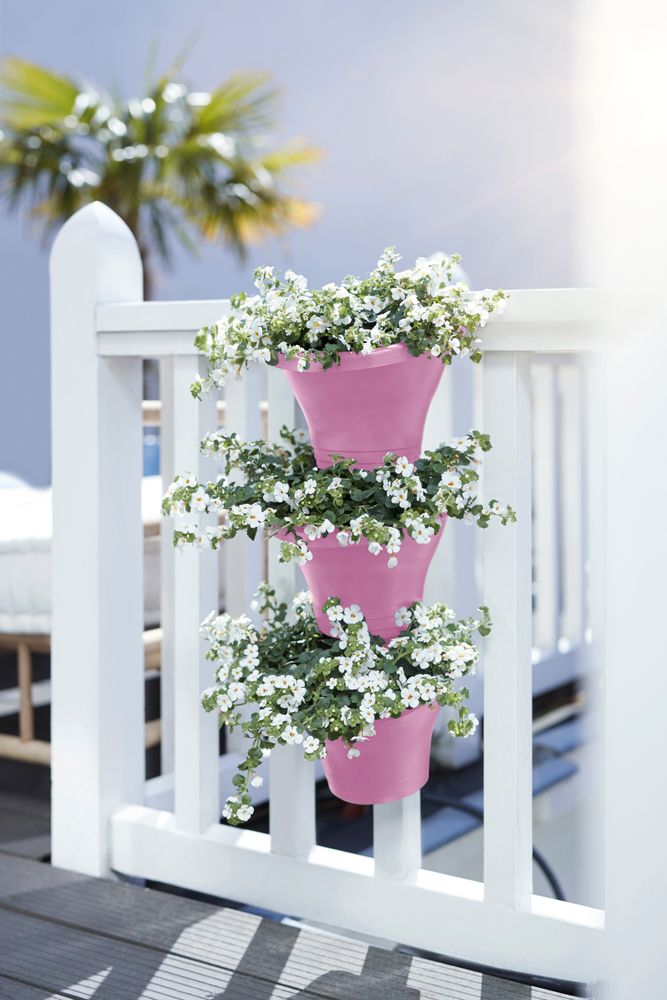 Corsica Forêt Vertical 24 Set/3