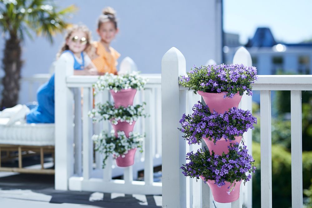 Corsica Forêt Vertical 24 Set/3