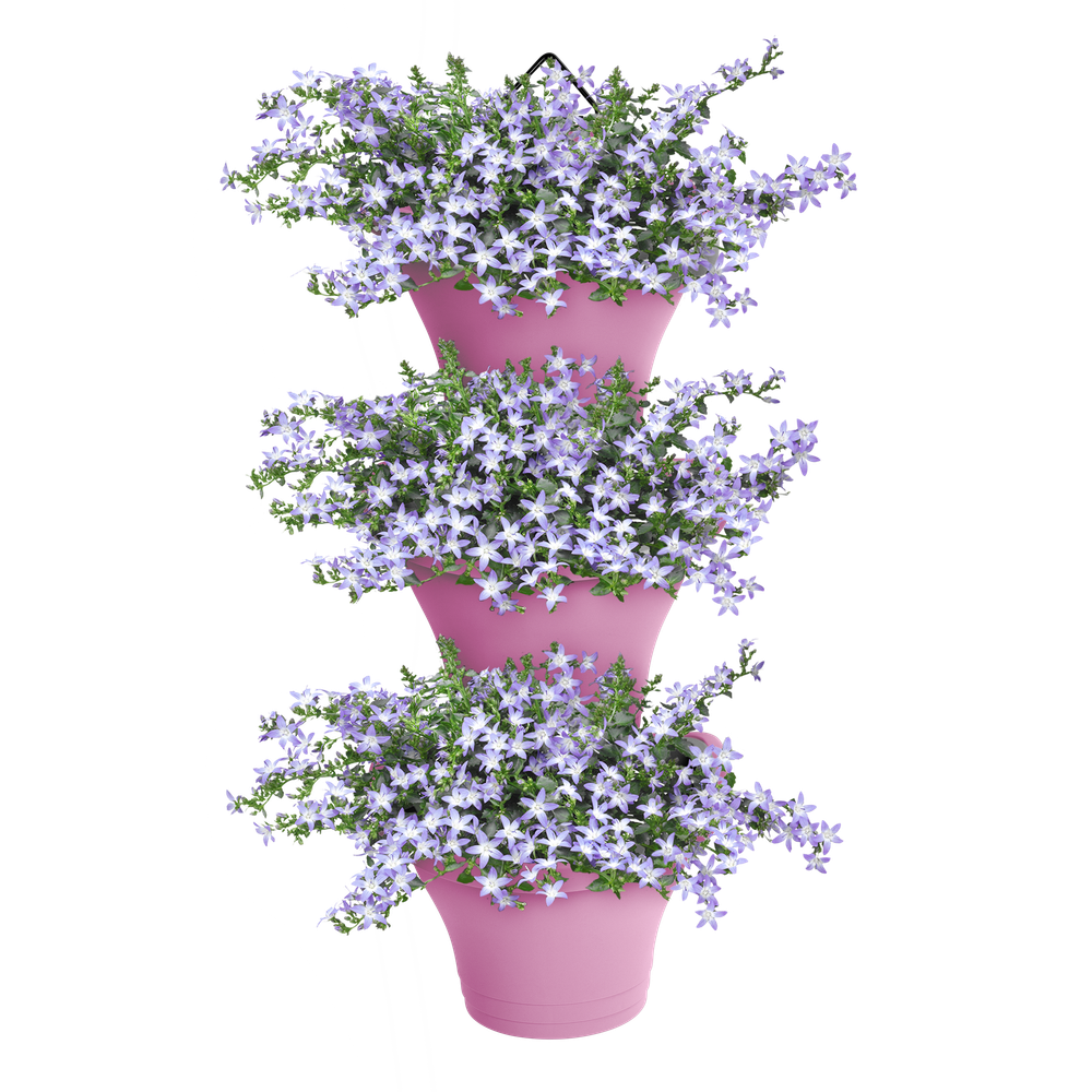 Corsica Forêt Vertical 24 Set/3