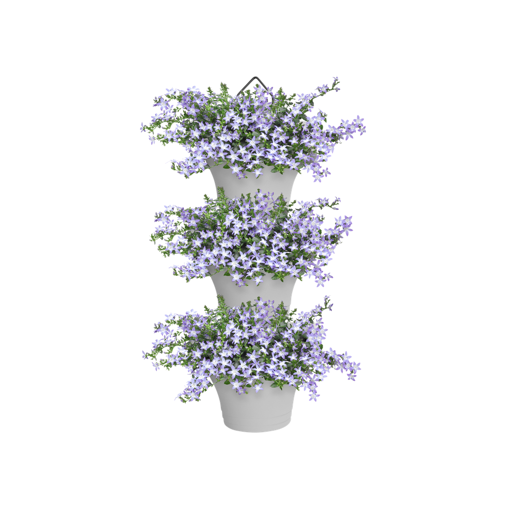 Corsica Forêt Vertical 24 Set/3