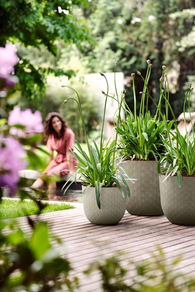 Fuente Grains Rond 38