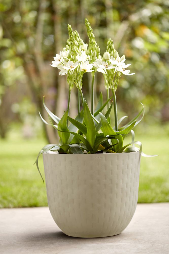 Fuente Grains Rond 47