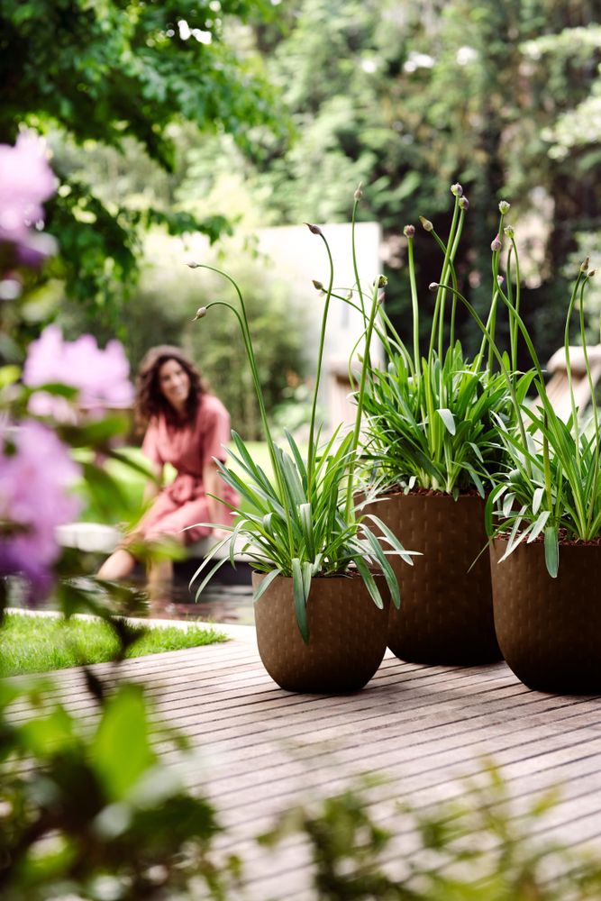 Fuente Grains Rond 38