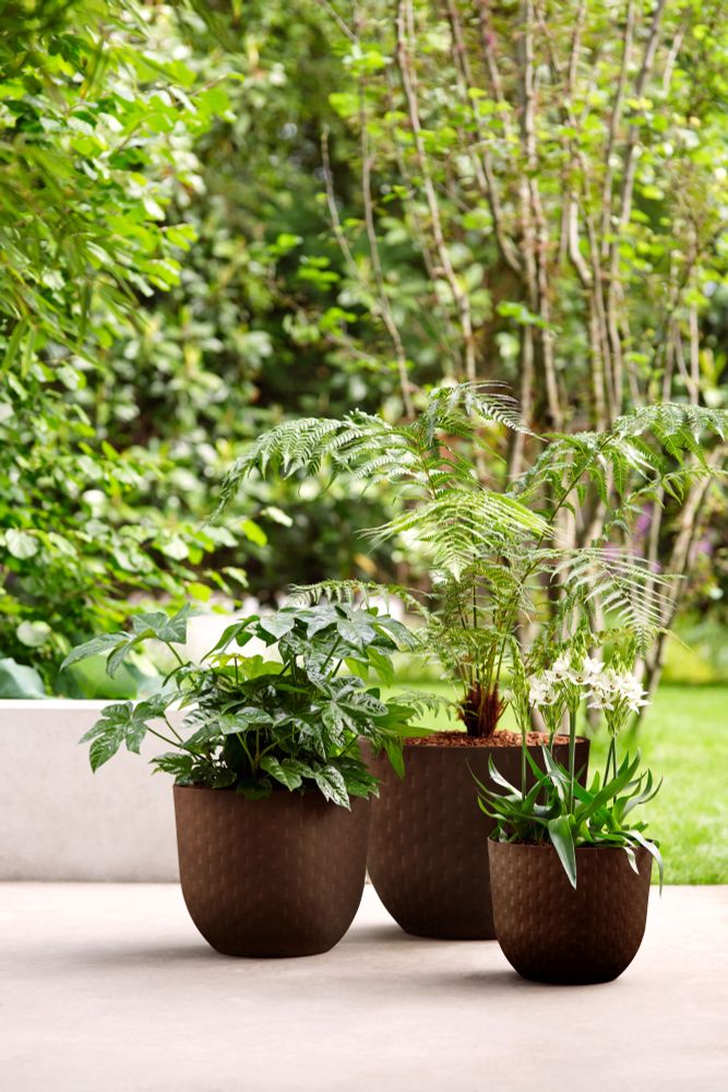 Fuente Grains Rond 47