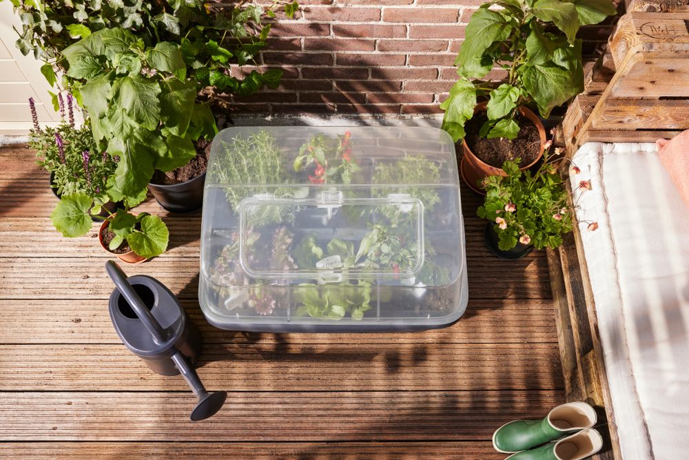 Green Basics Jardin De Culture Serre L