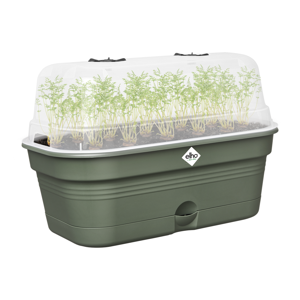 Green Basics Plateau De Culture Allin1 M
