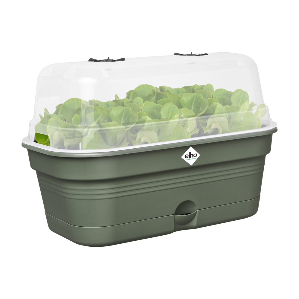Green Basics Plateau De Culture Allin1 M