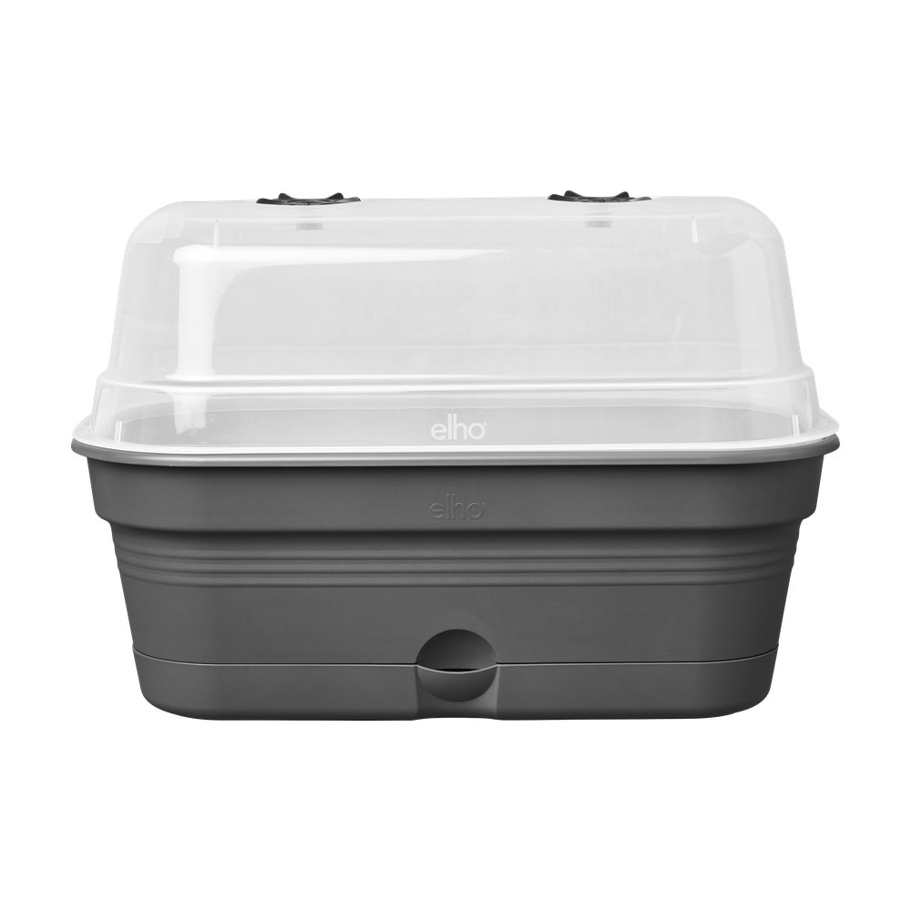 Green Basics Plateau De Culture Allin1 M