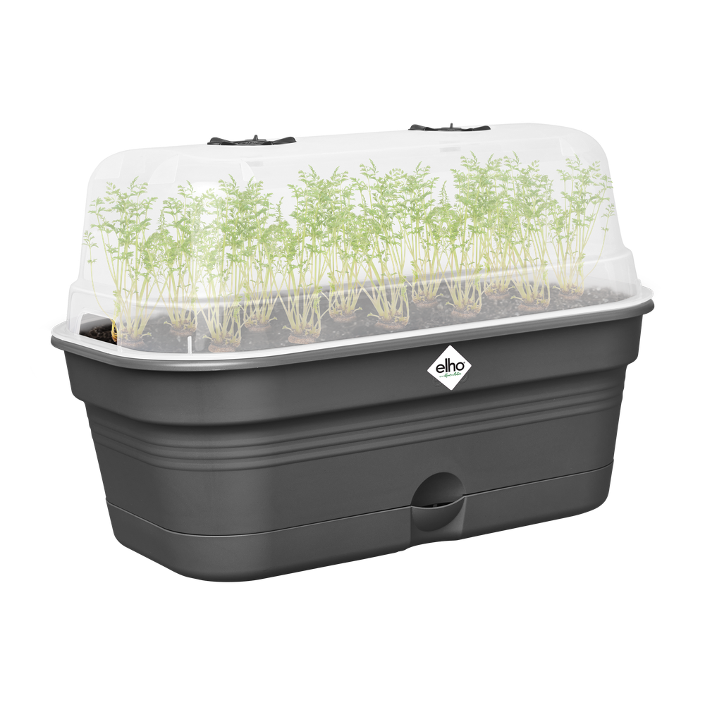 Green Basics Plateau De Culture Allin1 M