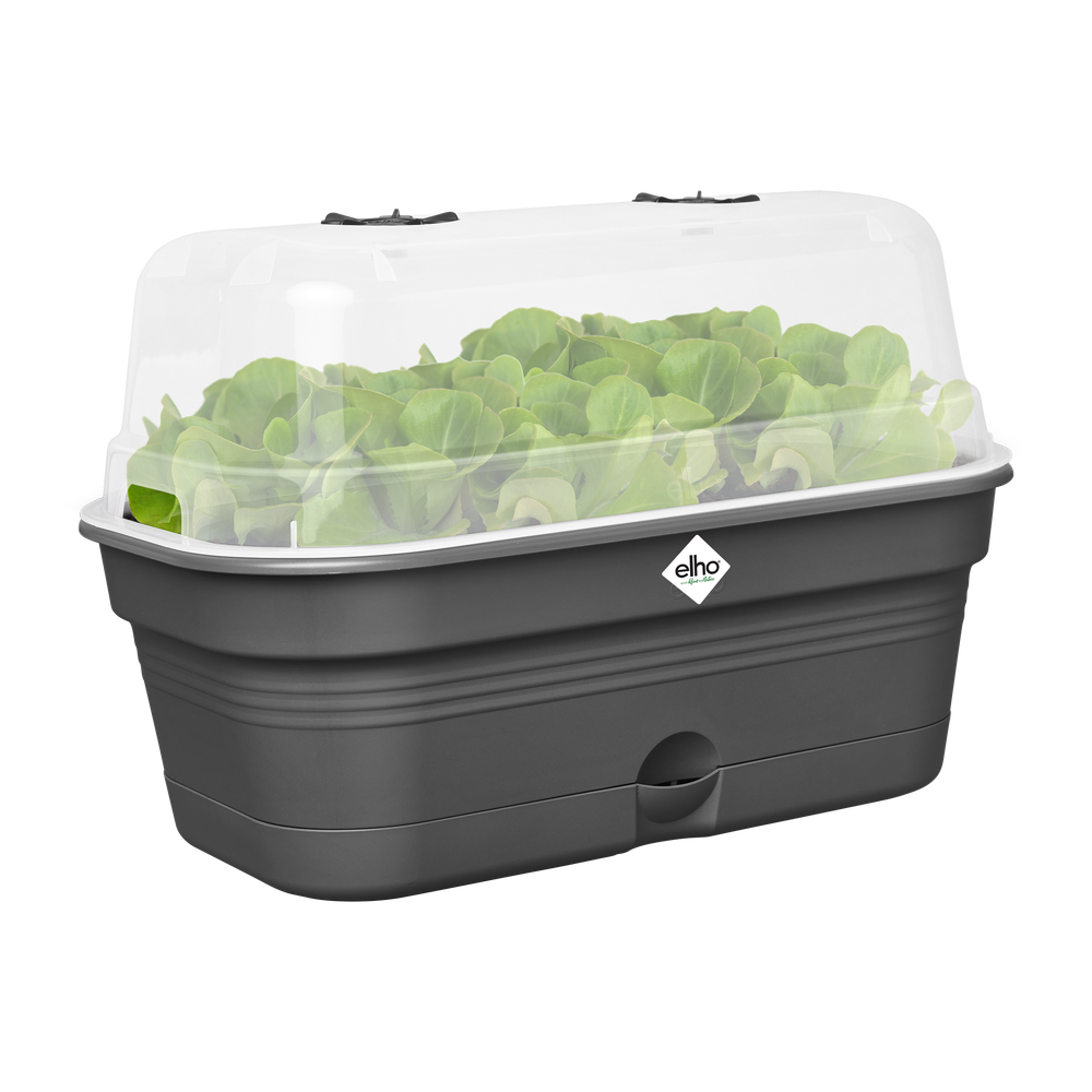 Green Basics Plateau De Culture Allin1 L