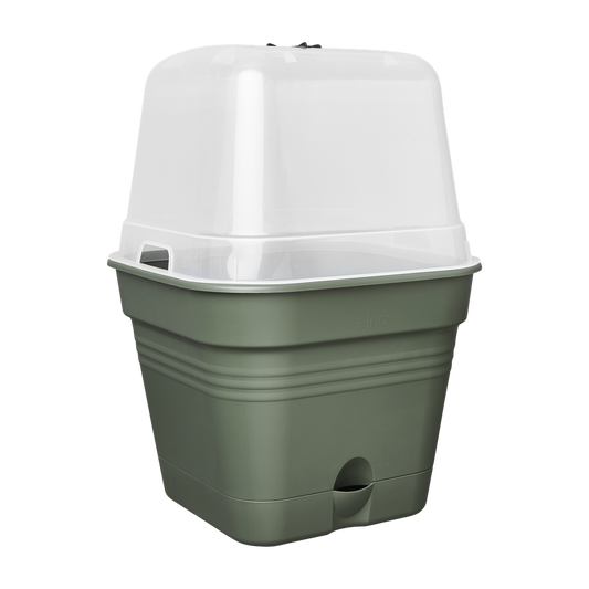 Green Basics Pot De Cult Car Allin1 15