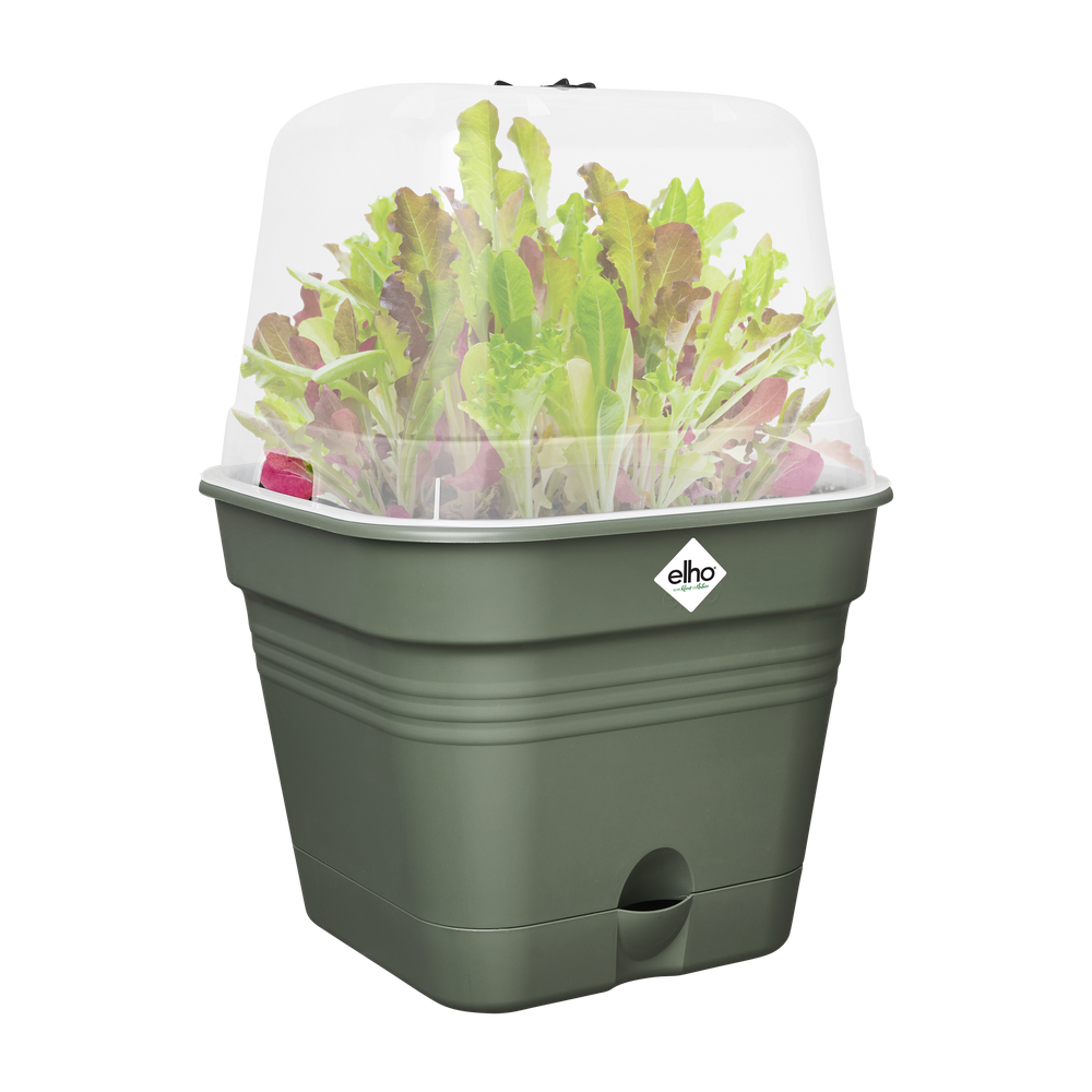 Green Basics Pot De Cult Car Allin1 25