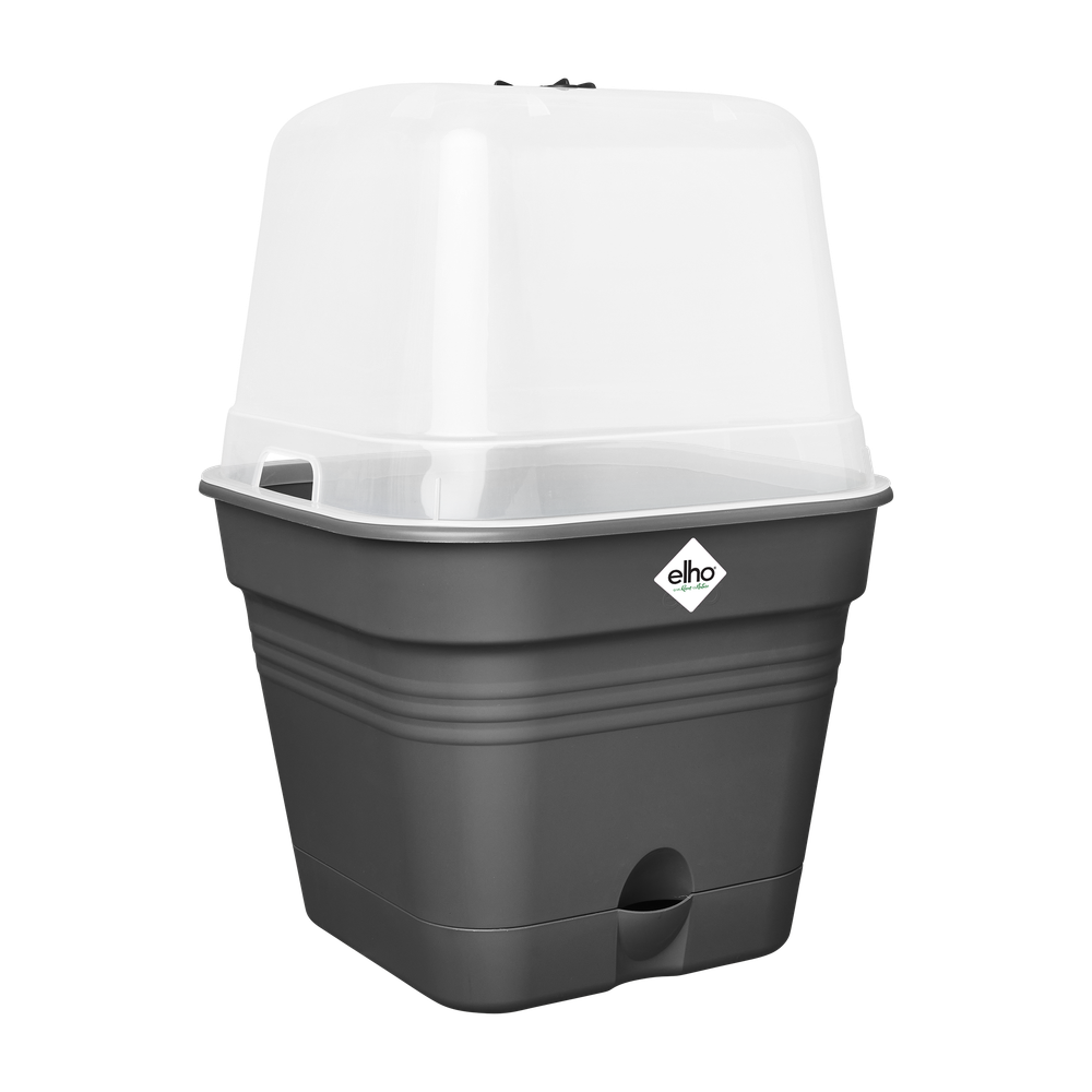 Green Basics Pot De Cult Car Allin1 25