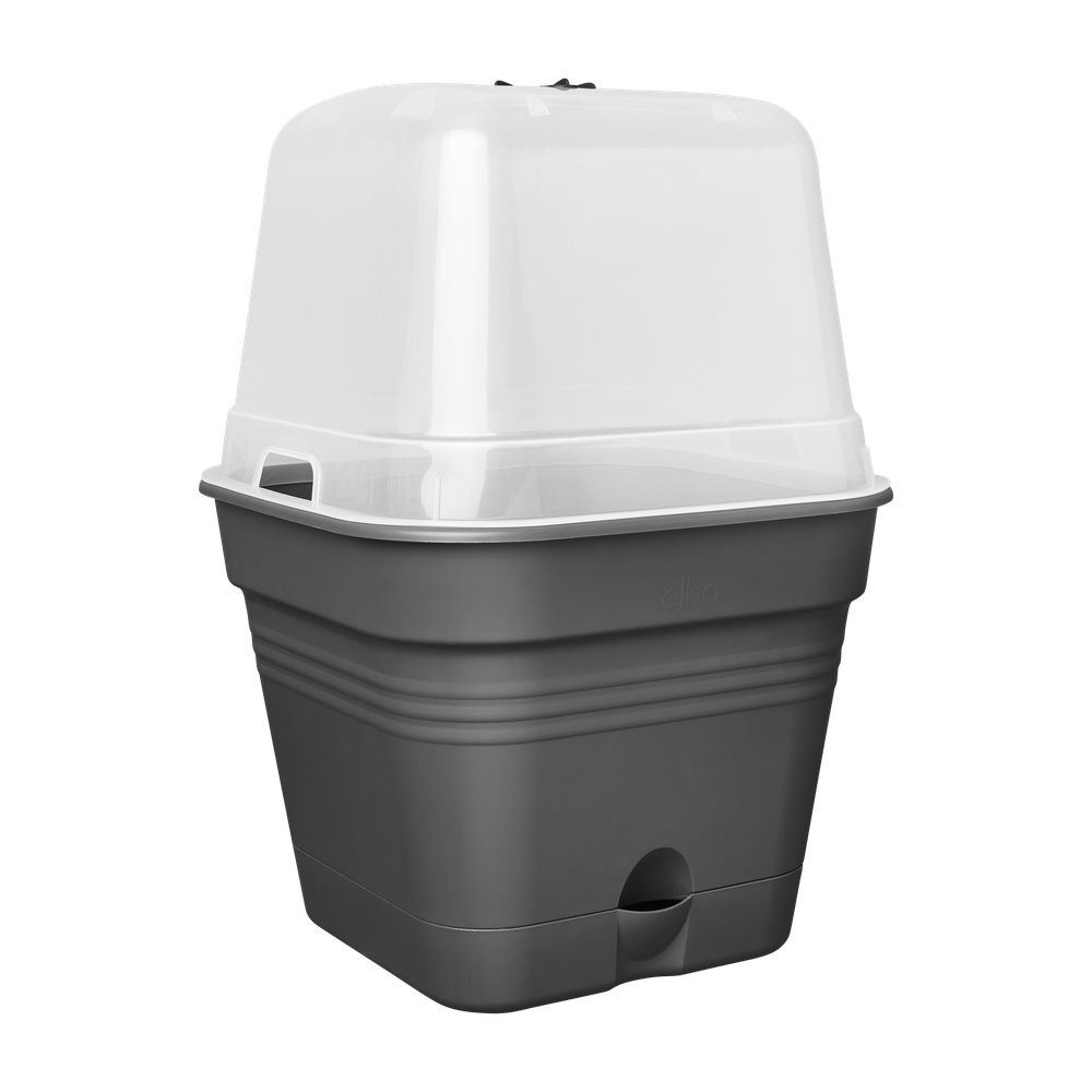Green Basics Pot De Cult Car Allin1 35