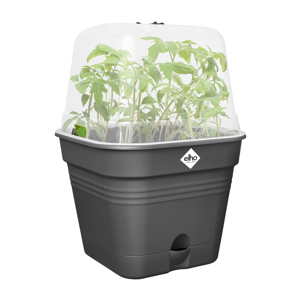 Green Basics Pot De Cult Car Allin1 20