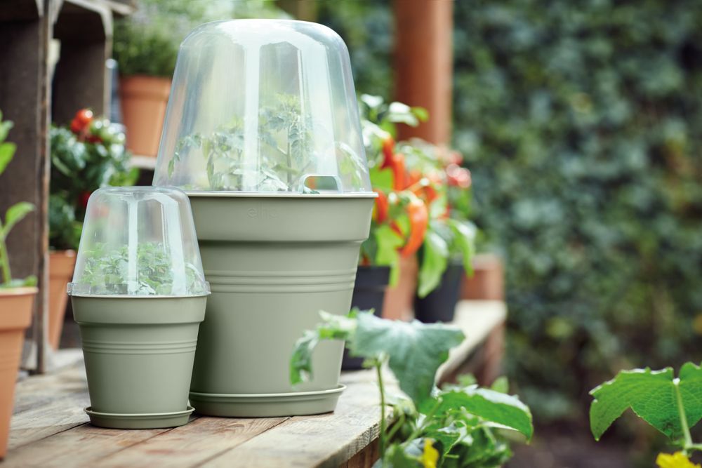 Green Basics Pot De Culture 27