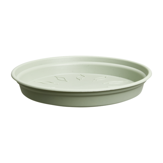 Green Basics Soucoupe 34
