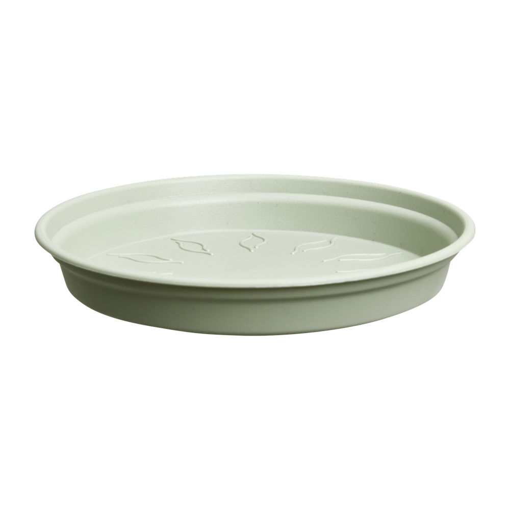 Green Basics Soucoupe 29