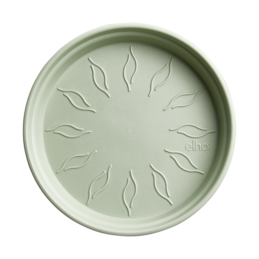 Green Basics Soucoupe 14