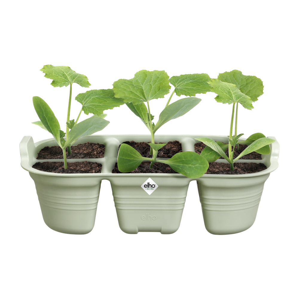 Green Basics Plateau De Semis 22