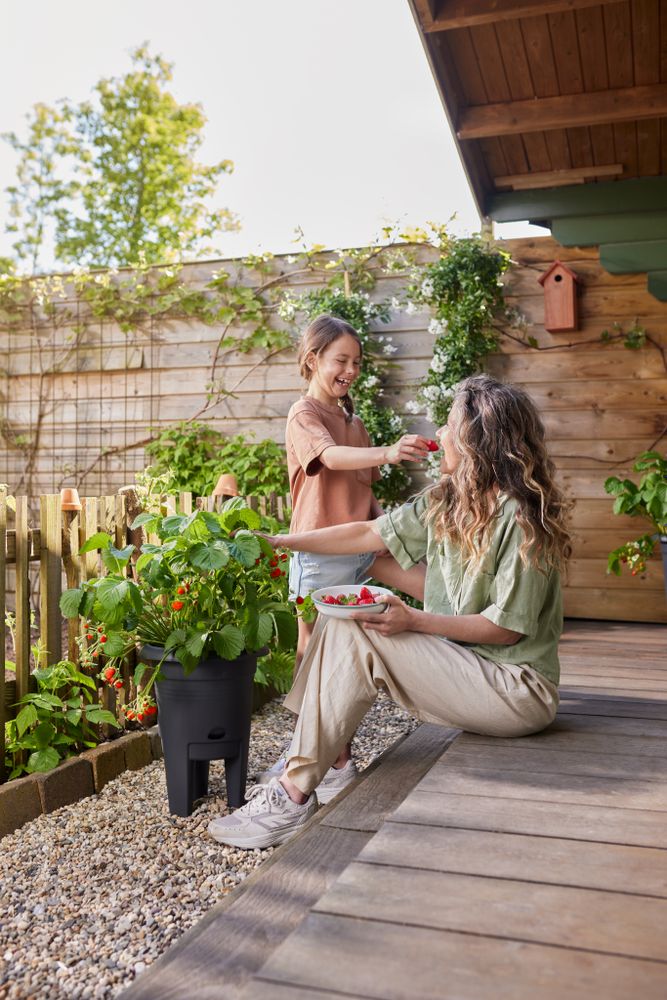 Green Basics Pot À Fraises 33